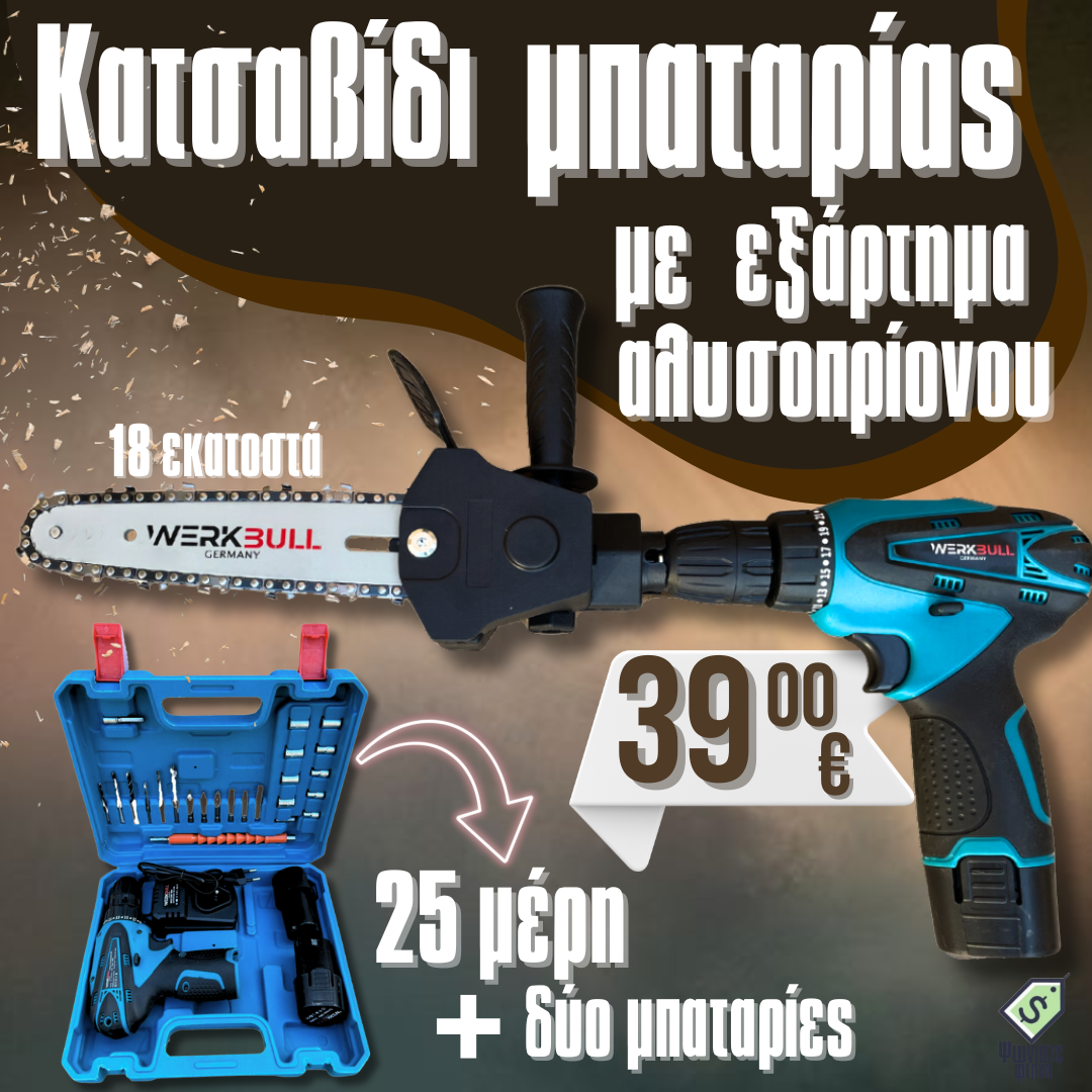2B1 Κατσαβίδι δύο ταχυτήτων WerkBull με 25 μέρη + δύο μπαταρίες 24v 3ah + δώρο Προσάρτημα πριόνι με ράβδο 18cm