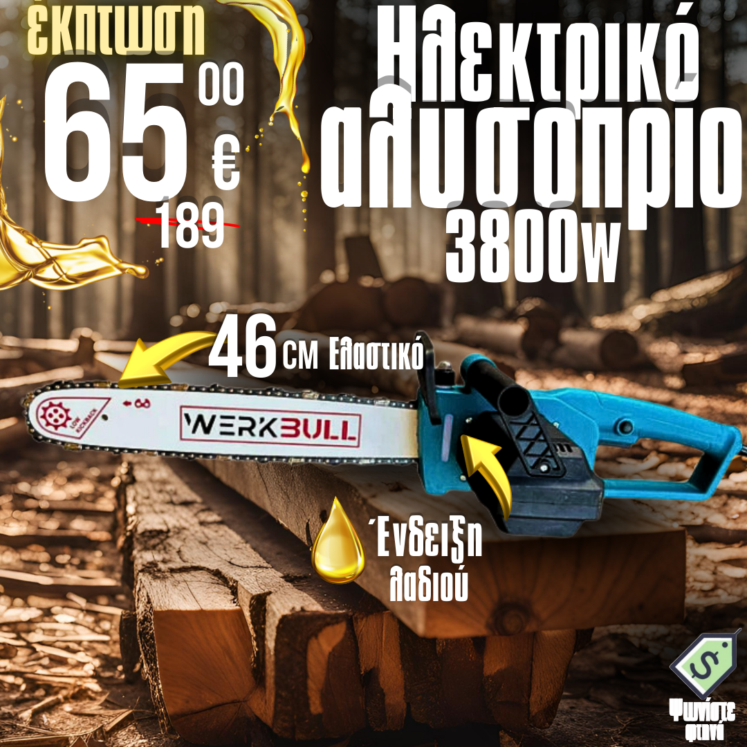 Γερμανικός ηλεκτρικός κόφτης ξύλου 46cm WerkBull 3800W