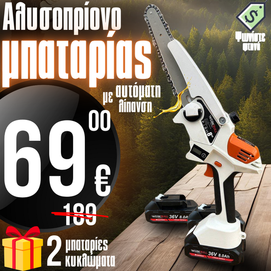 Γερμανικό Ξυλόβουρτσο Πριόνι Χωρίς Ψήκτρες WerkBull με Λίπανση και Δύο Μπαταρίες